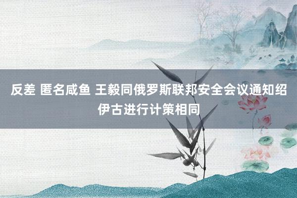 反差 匿名咸鱼 王毅同俄罗斯联邦安全会议通知绍伊古进行计策相同