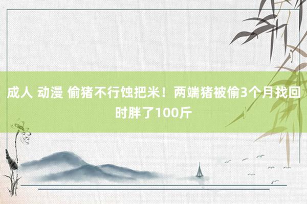 成人 动漫 偷猪不行蚀把米！两端猪被偷3个月找回时胖了100斤