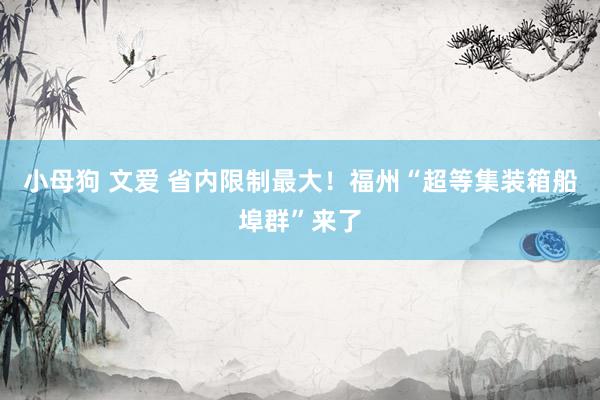 小母狗 文爱 省内限制最大！福州“超等集装箱船埠群”来了