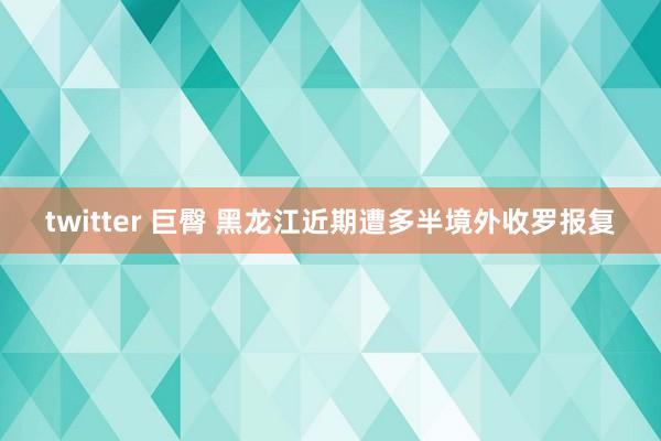twitter 巨臀 黑龙江近期遭多半境外收罗报复