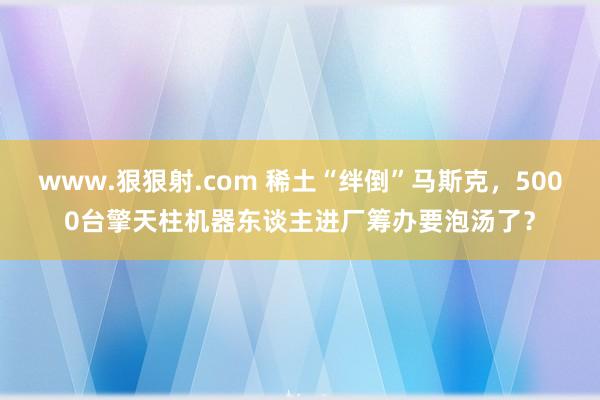 www.狠狠射.com 稀土“绊倒”马斯克，5000台擎天柱机器东谈主进厂筹办要泡汤了？
