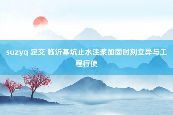 suzyq 足交 临沂基坑止水注浆加固时刻立异与工程行使