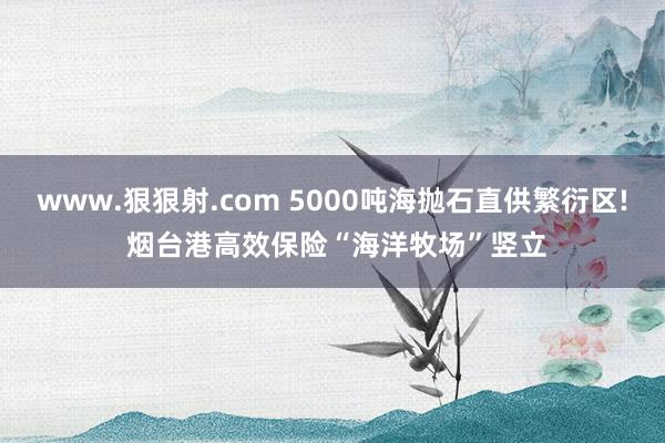 www.狠狠射.com 5000吨海抛石直供繁衍区! 烟台港高效保险“海洋牧场”竖立
