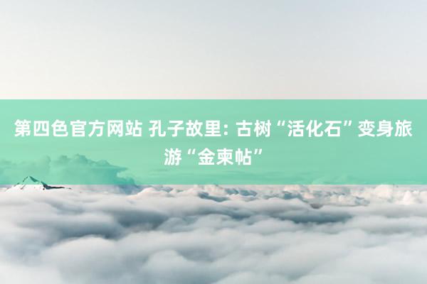 第四色官方网站 孔子故里: 古树“活化石”变身旅游“金柬帖”
