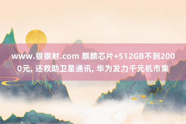 www.狠狠射.com 麒麟芯片+512GB不到2000元， 还救助卫星通讯， 华为发力千元机市集