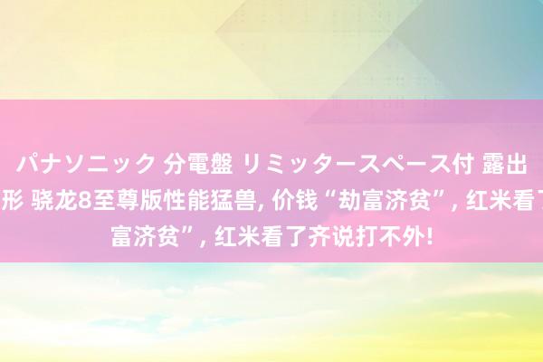 パナソニック 分電盤 リミッタースペース付 露出・半埋込両用形 骁龙8至尊版性能猛兽， 价钱“劫富济贫”， 红米看了齐说打不外!