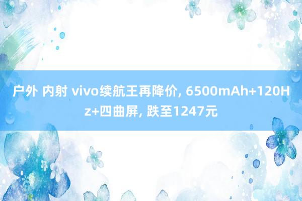 户外 内射 vivo续航王再降价， 6500mAh+120Hz+四曲屏， 跌至1247元