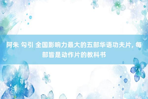 阿朱 勾引 全国影响力最大的五部华语功夫片， 每部皆是动作片的教科书