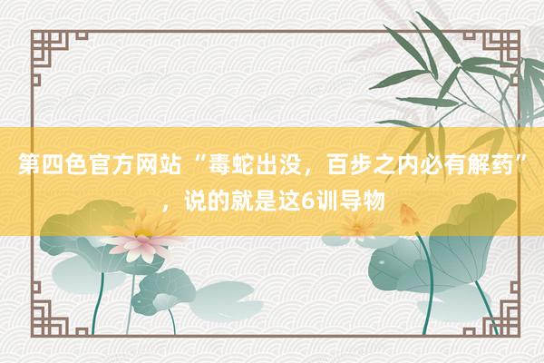 第四色官方网站 “毒蛇出没，百步之内必有解药”，说的就是这6训导物