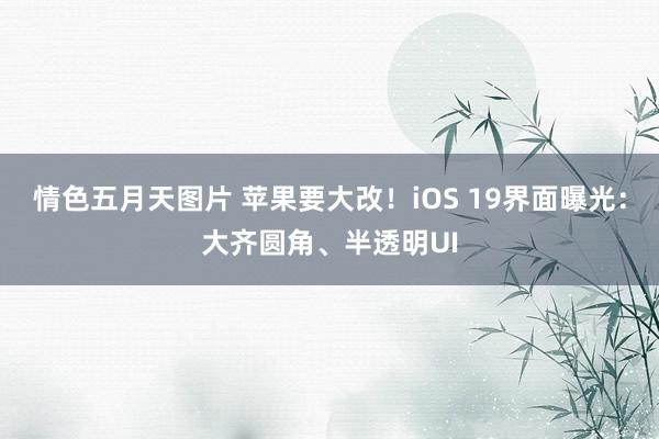 情色五月天图片 苹果要大改！iOS 19界面曝光：大齐圆角、半透明UI